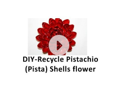 DIY -  Recycle  Pistachio (pista) Shells flower